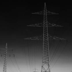 We Deserve This : Sdrawkcab